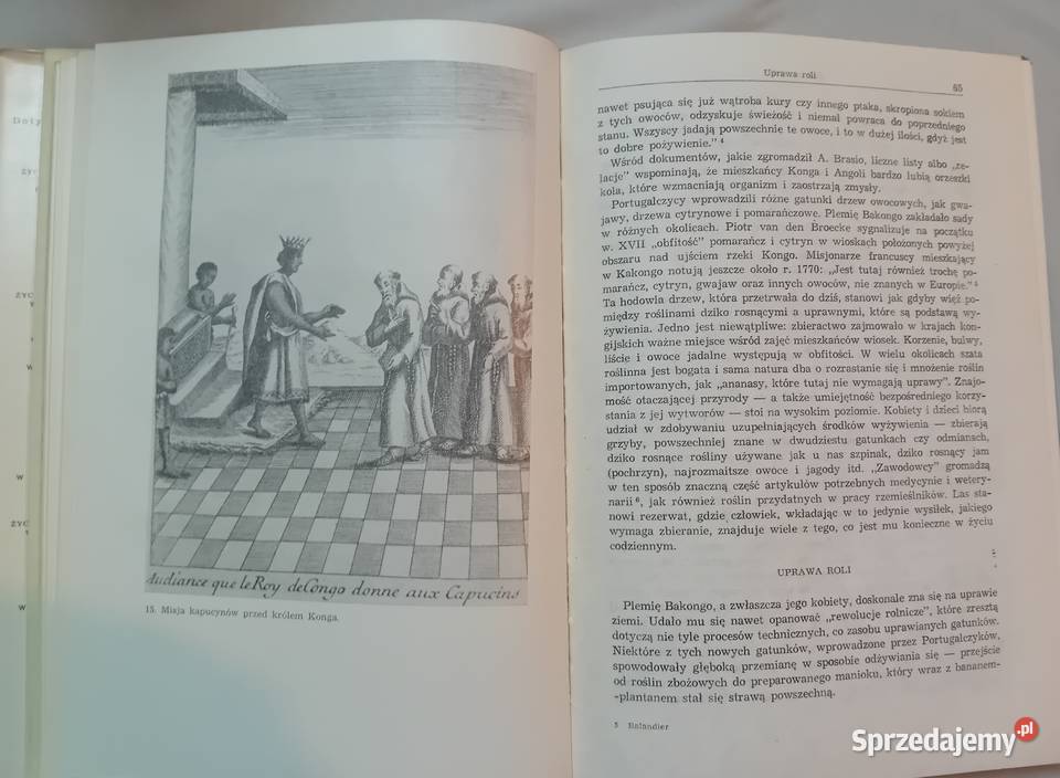 Georges Balandier Życie codzienne w państwie wielkopolskie