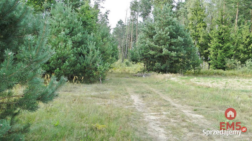 Grunt 10400m2 Zalesiany 134zł/m2