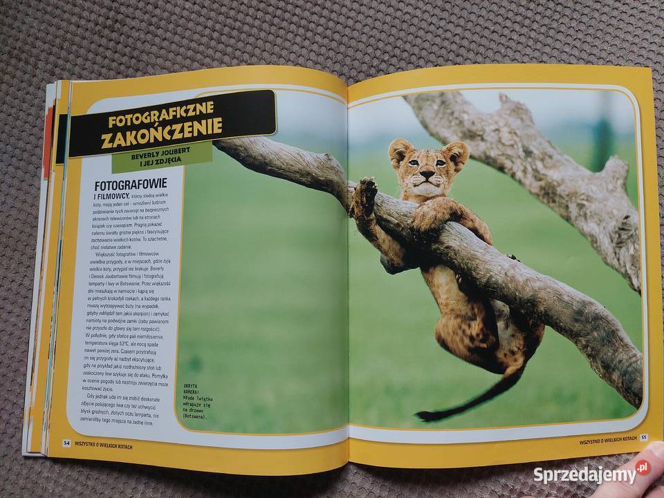 National Geographic Kids Wszystko o wielkich Kraków sprzedam