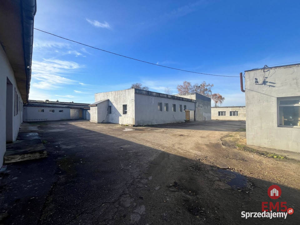 Ogłoszenie lokal 600m2 Białystok podlaskie