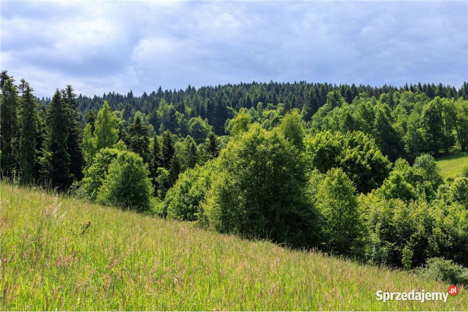 Widokowa działka w sąsiedztwie Zawoji 2700m2 Lachowice sprzedam