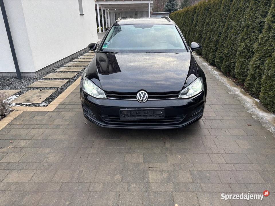 Volkswagen Golf VII 16 TDI 2014 r I rejestracja nieuszkodzony Rzepin sprzedam