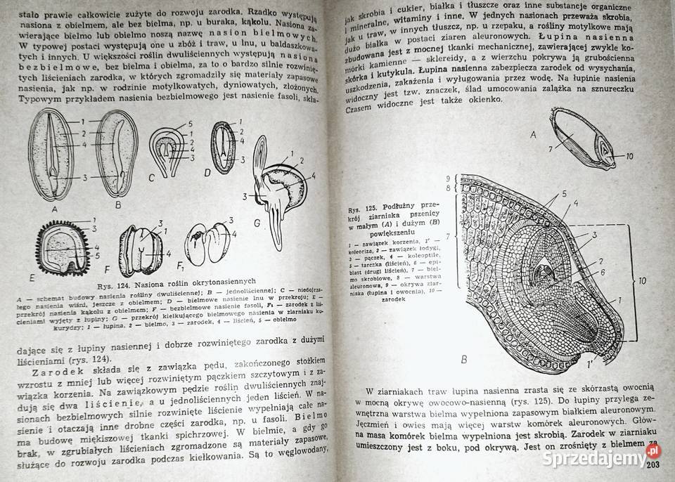 Botanika studentów zaocznych akademii rolniczych Rok wydania 1974 lubelskie Chełm sprzedam