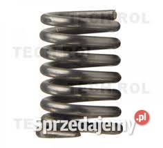 Bijak głowicy pomorskie Kobylnica sprzedam