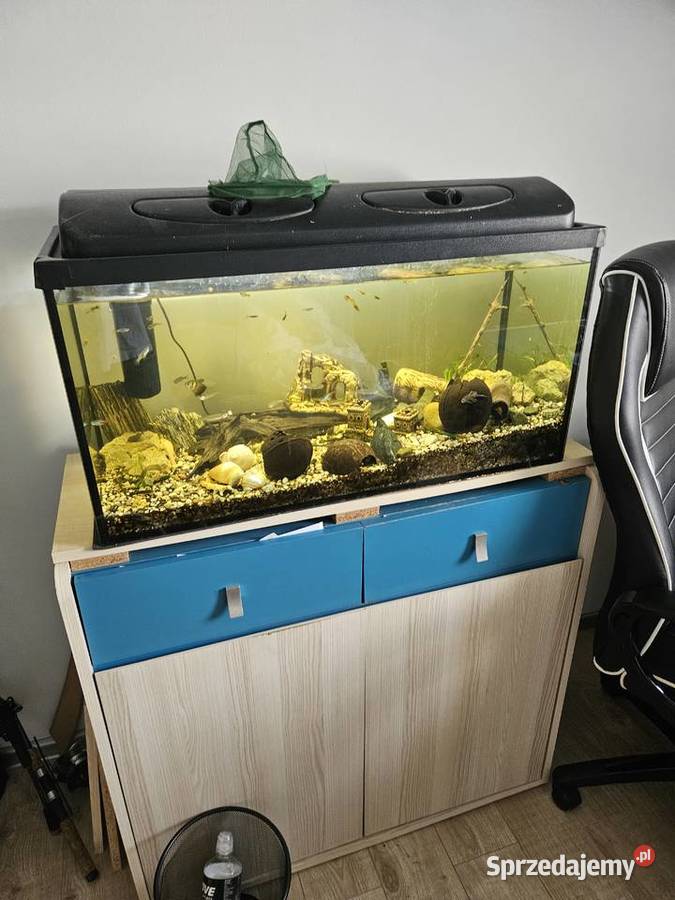 Meble chłopca śląskie