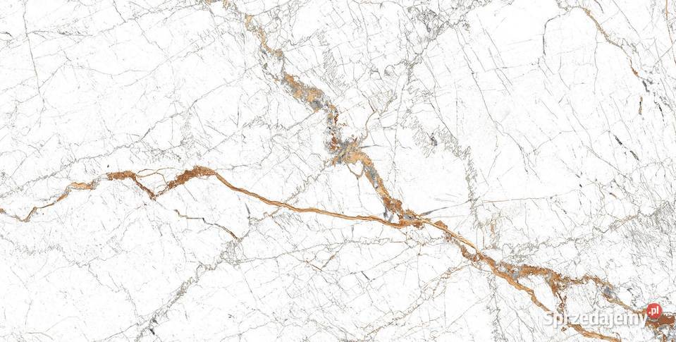Gres szkliwiony Georgia White Poler 60 x120 Warszawa