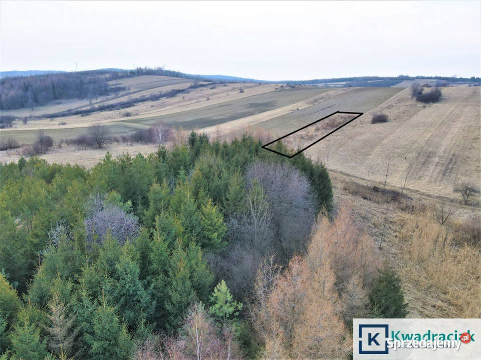 Działka Pobiedno 1028m2