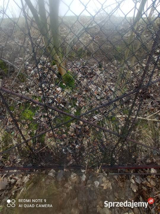 Brama wjazdowa 580170m Dom i Ogród Gostycyn