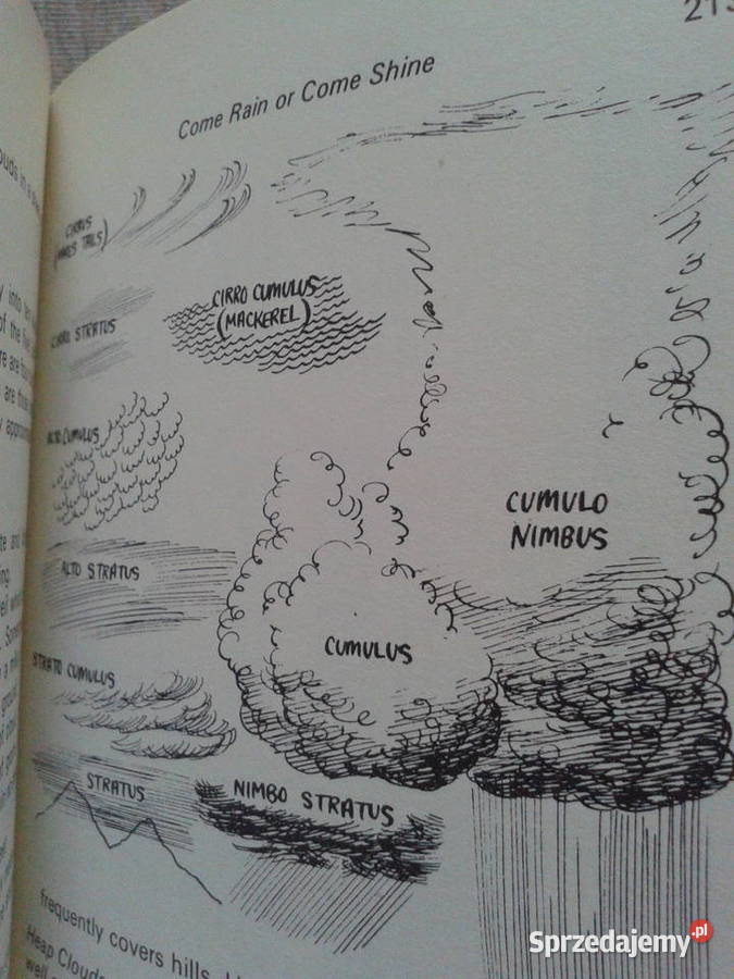 Angielska ksiazka SCOUT HANDBOOK Harcerstwo Puławy