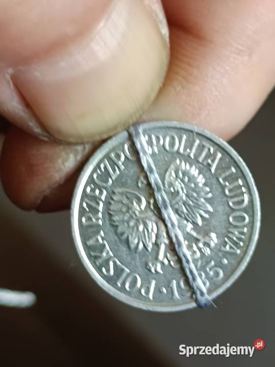 Sprzedam 20 gr 1985 r skretka nnnnn