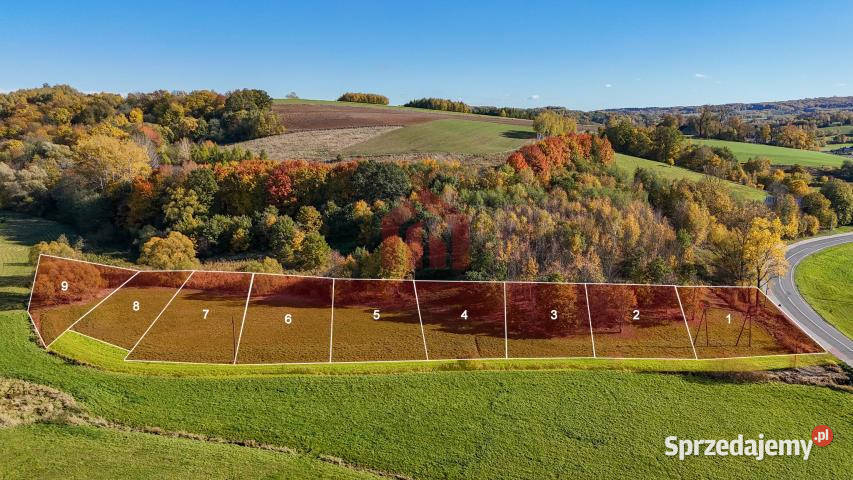 Działka Wielopole Skrzyńskie 1000m2