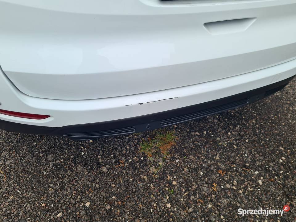 Ford S doinwestowany