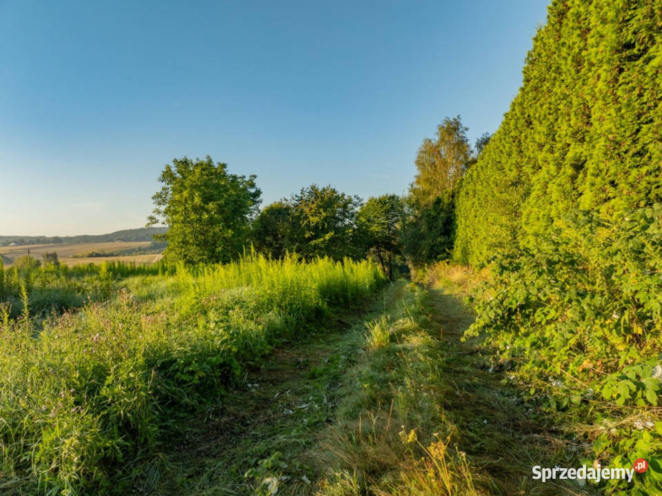 80 arów pozwolenie na budowę 2 domów Nowa Wieś sprzedam
