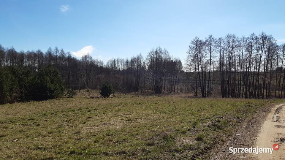 Jezioro Wądzyńskie woda Lembarg sprzedam