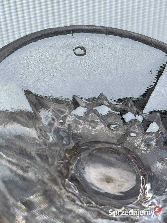 Pucharek stokrotki w nietypowym kolorze Mielec