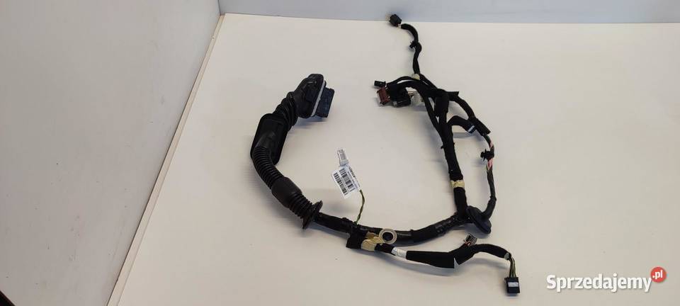 DACIA DUSTER II WIĄZKA DRZWI PRZÓD 241242856R dolnośląskie