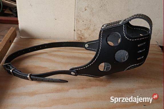 Kaganiec psa skórzany zabudowany Jastrowie