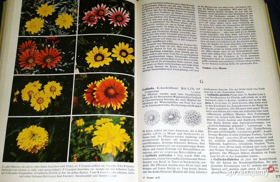 Gartenblumen von A bis Z Christian Grunert Chełm