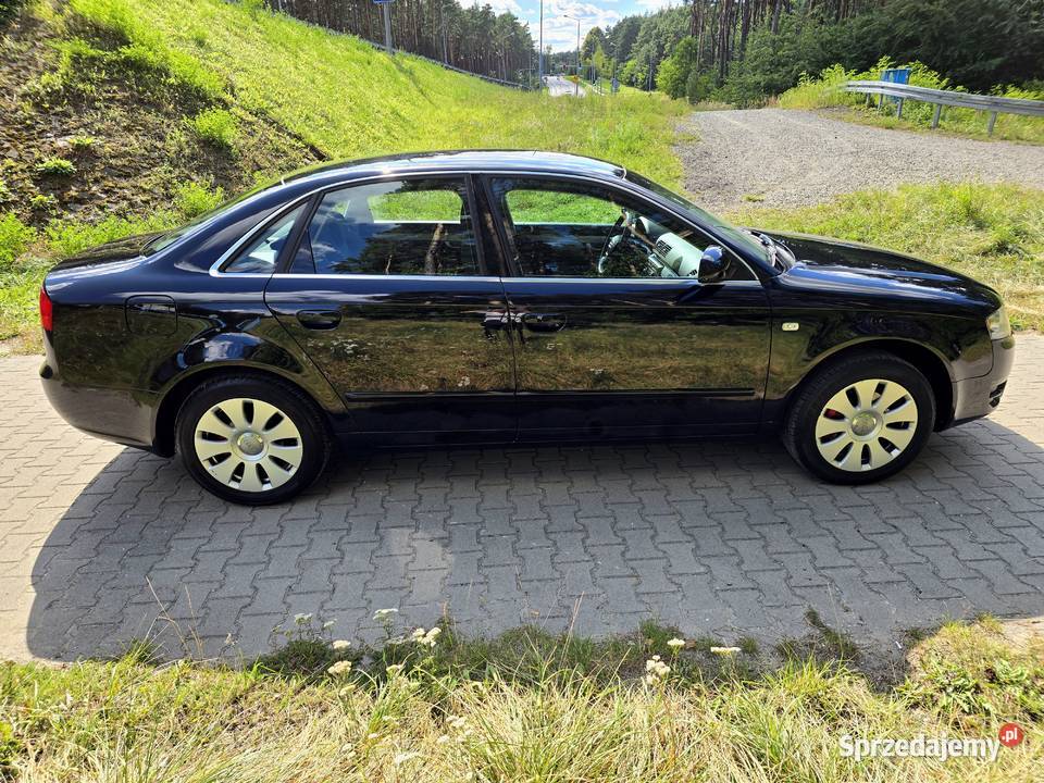 Prywatne Ogłoszenie Audi A4 B7 20 131 Lpg Gaz Sławków