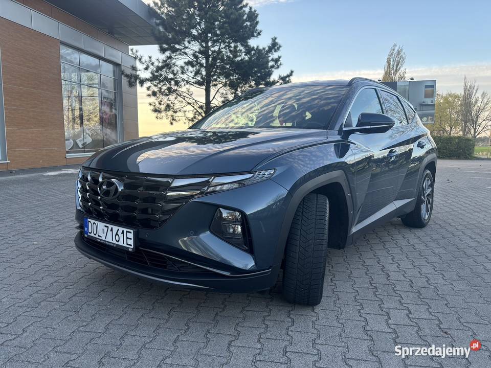 Hyundai Tucson Executive 2021r Polski salon Międzybórz