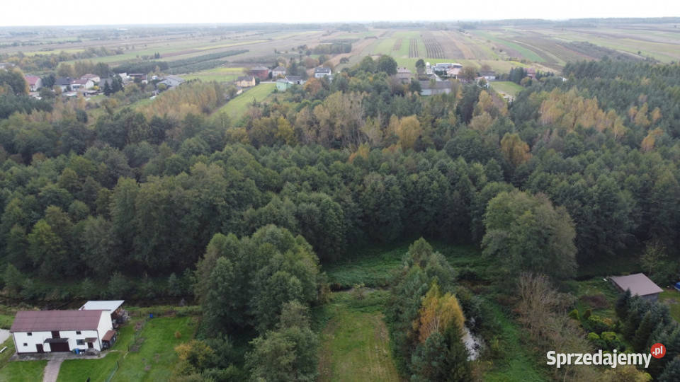 Działka 1441 m2 prze drodze 747 w Lipie Miklas Lipa-Miklas