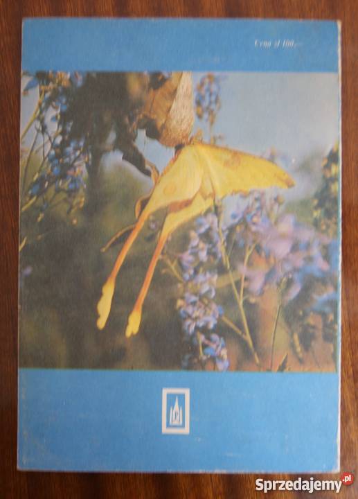 Arkady Fiedler Motyle mego życia Parczew