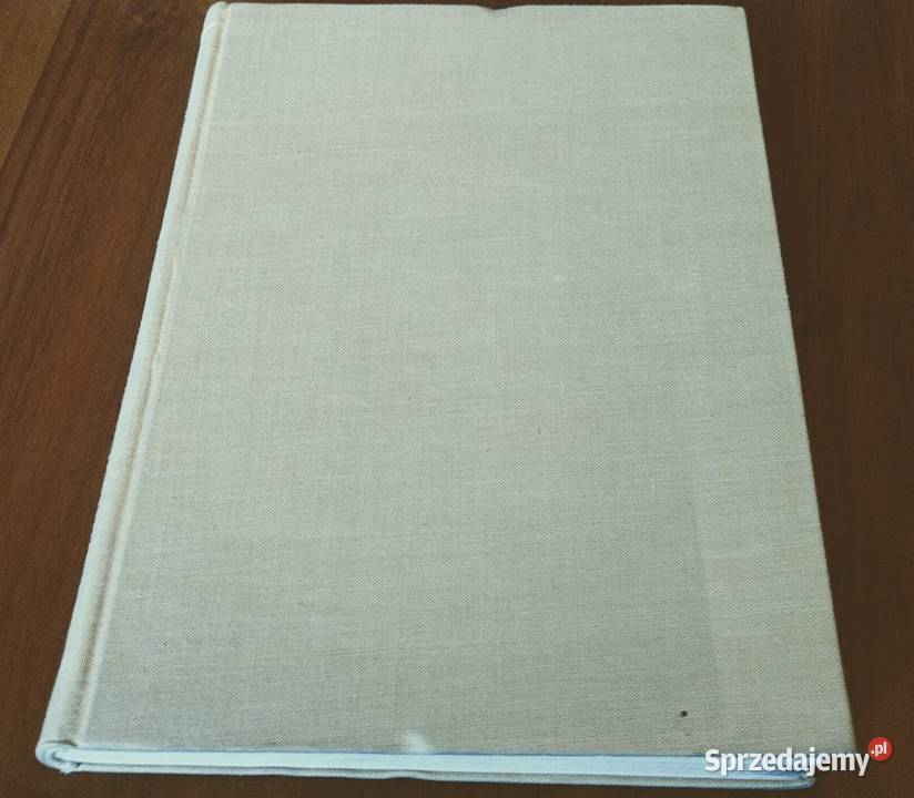 Pisma filozoficzne i logiczne T 1 Leon Chwistek pomorskie Gdańsk