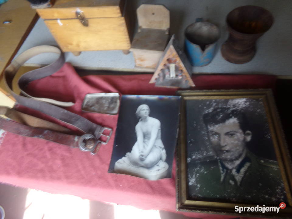 hełm i poroża Pozostałe Ziębice