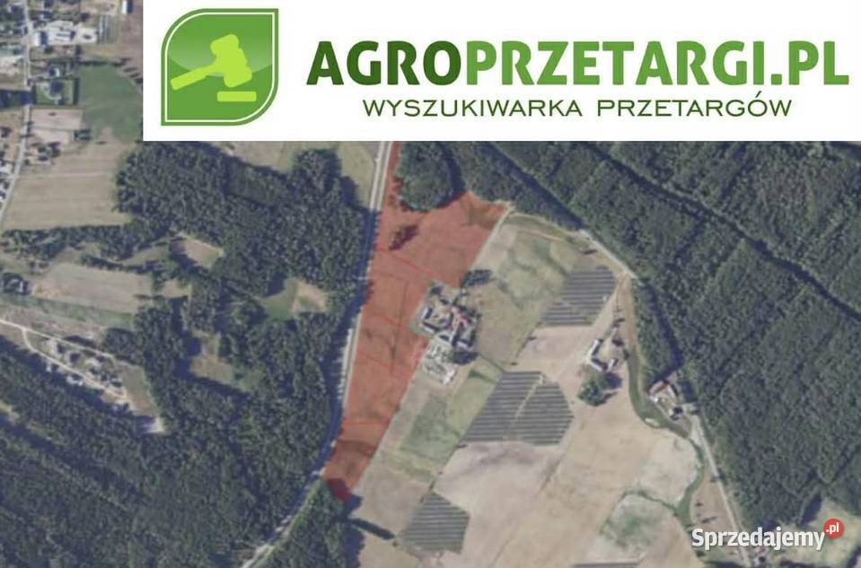 Dzierżawa 1151 ha gruntu rolnego mazowieckie Przasnysz