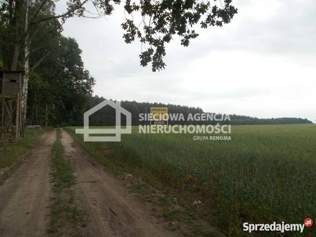 sprzedaży gruntu 41960m2 sprzedam