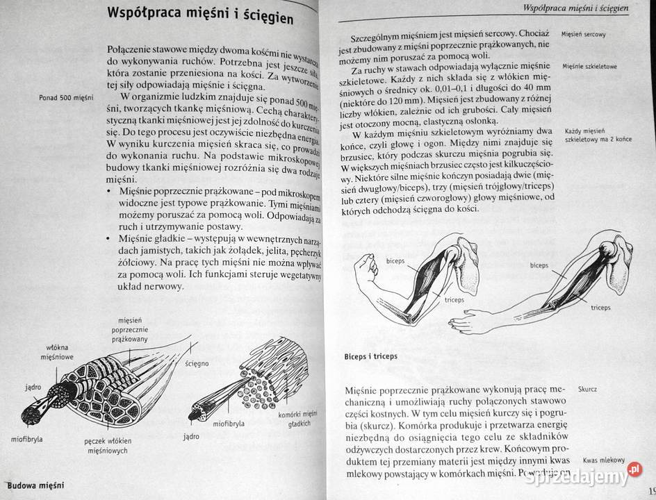 Choroby stawów Gerhard Leibold sprzedam