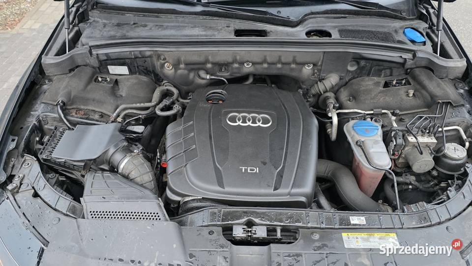 Audi Q5 20 TDI Quattro Nowy Świętów
