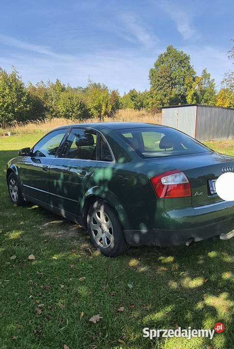 Audi a4 b6 Rok produkcji 2003 Ostrowiec Świętokrzyski