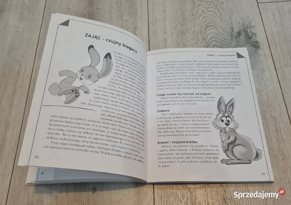 Książka Czego dzieci mogą nauczyć się zwierząt Łódź sprzedam