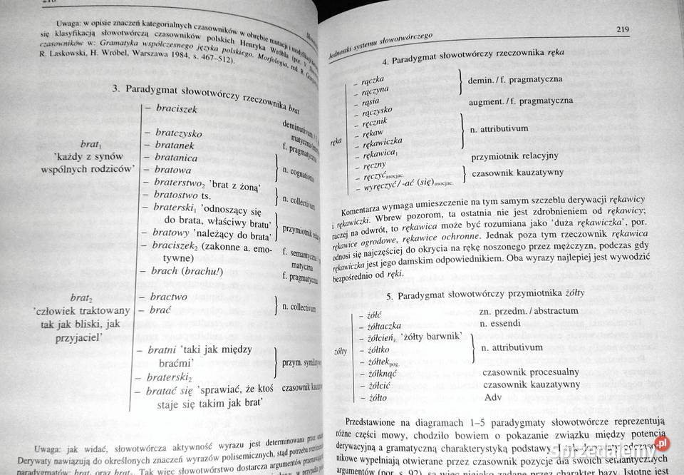 Zarys gramatyki polskiej Alicja Nagórko Chełm