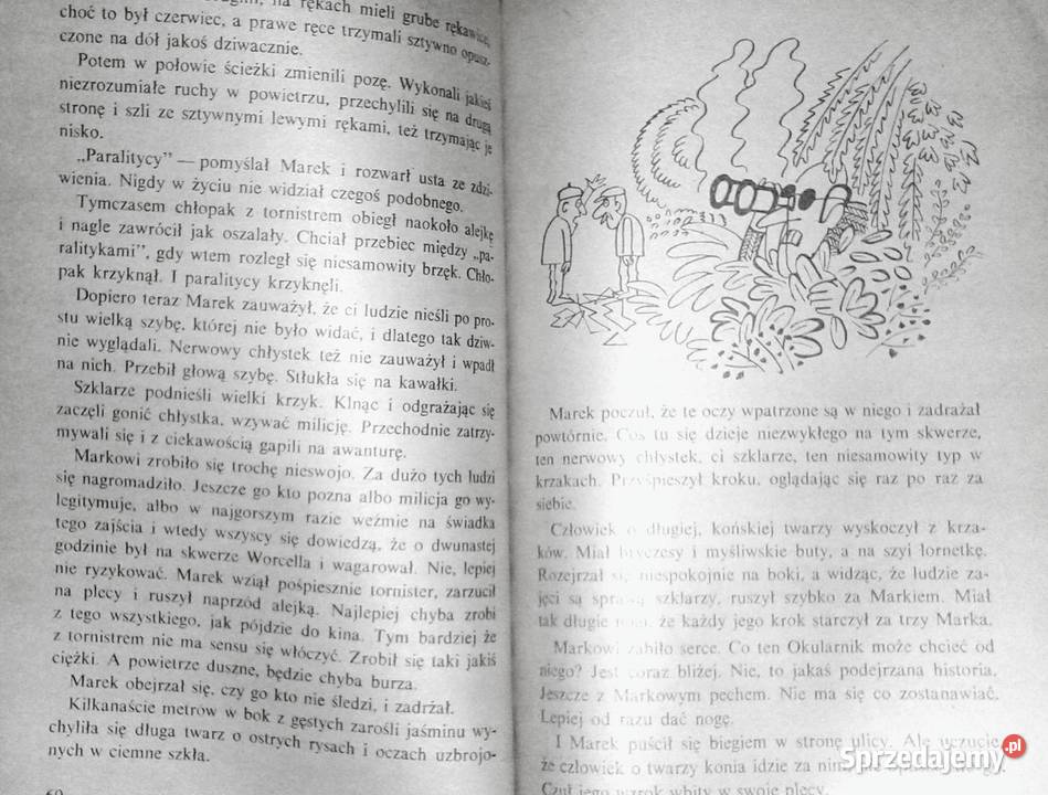 Niewiarygodne przygody Marka Piegusa Edmund lubelskie