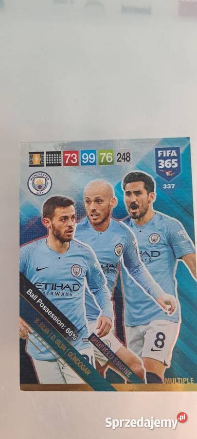 Karta panini Manchester City Pozostałe Rzeszów