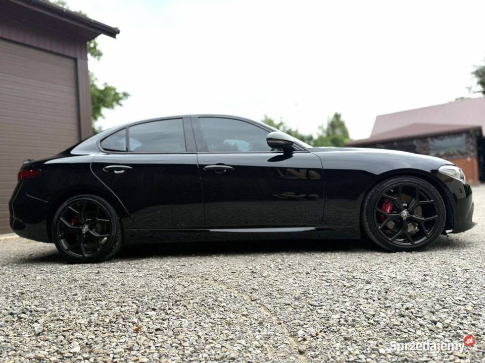 Alfa Romeo Giulia nieuszkodzony Starachowice