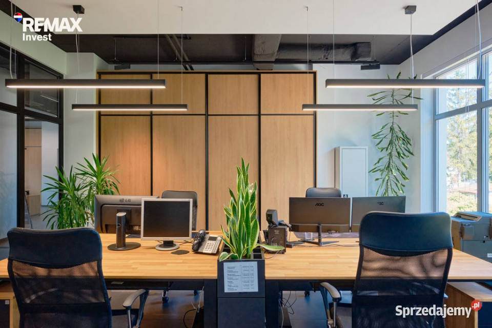 LUKSUSOWE biura magazyn usługi Cieszyn sprzedam