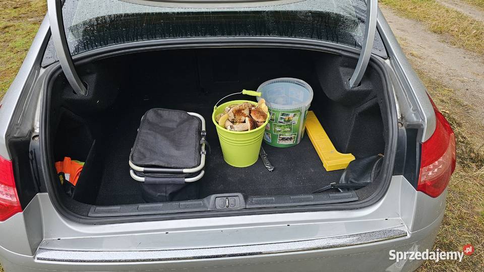 Sprzedam Citroena C5 exklusive czujnik zmierzchu Duczki
