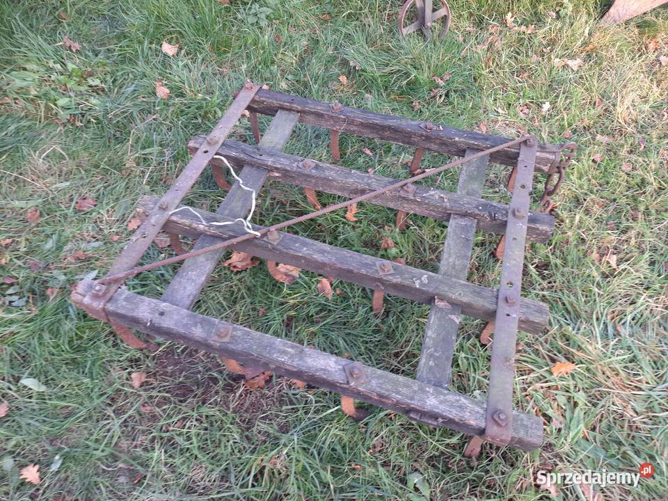 Brony konne drewniane Bucze