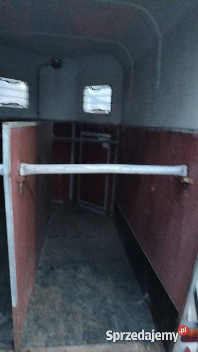Przyczepa koni abl lastrup bockman koniowoz Kostrzyn