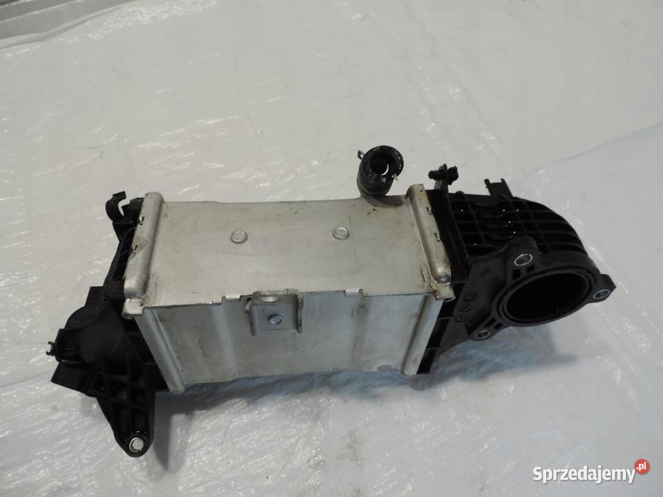 Ford Focus mk4 15d Intercooler JN1Q6C896AC