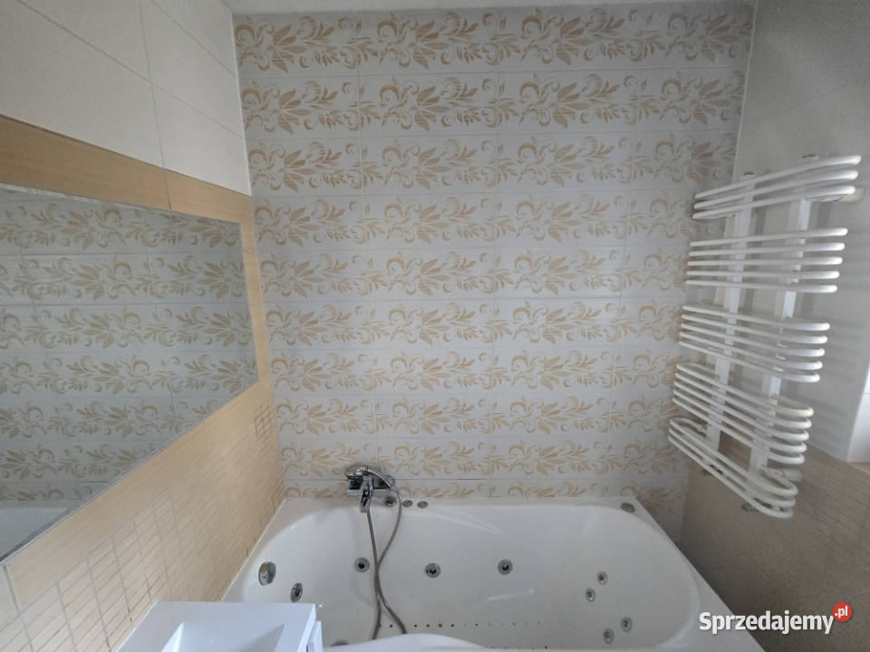 Dom na skaju Puszczy Białowieskiej podlaskie Hajnówka