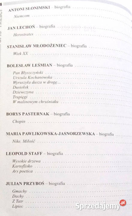 opracowanie 20lecie język polski liceum analiza Opole