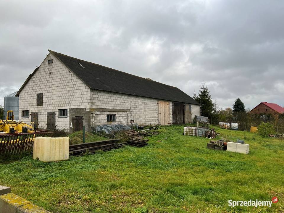 Syndyk sprzeda 12 nieruchomości Cimoszki gm