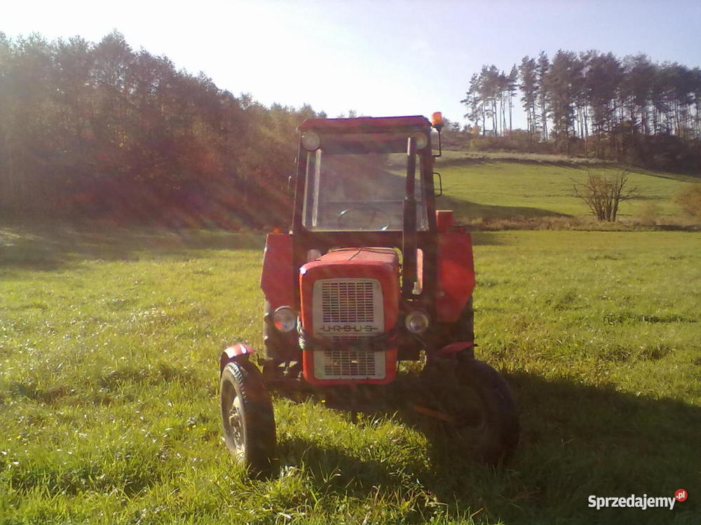 Ursus c360 Nowe Miasto Lubawskie