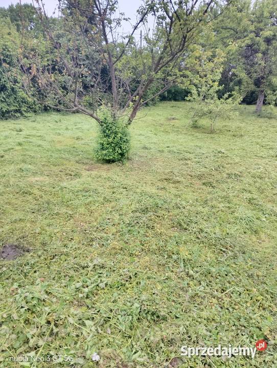 Koszenie kosą spalinową sprzedam