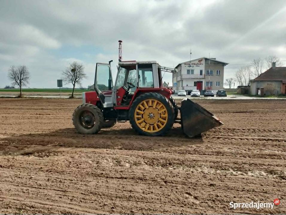 Massey Ferguson 675 Massey Ferguson kujawsko-pomorskie Brześć Kujawski