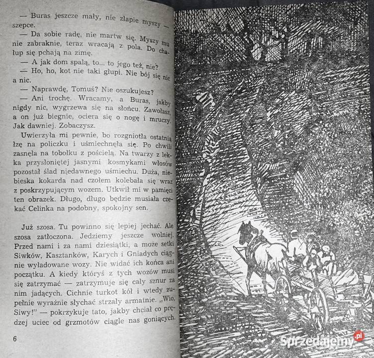 Przylecą ptaki na wiosnę Władysław Kozłowski Chełm